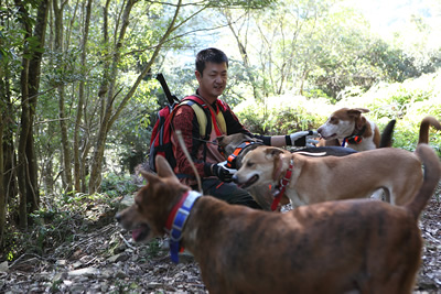 4頭の猟犬と猪狩りに向かう熊谷猛男さん。