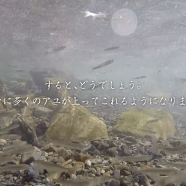野根川の最新映像を公開！